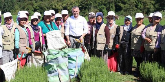 TABİP’te 2024 üretim sezonu tamamlandı