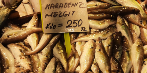 Kocaeli’de balık fiyatları cep yakıyor