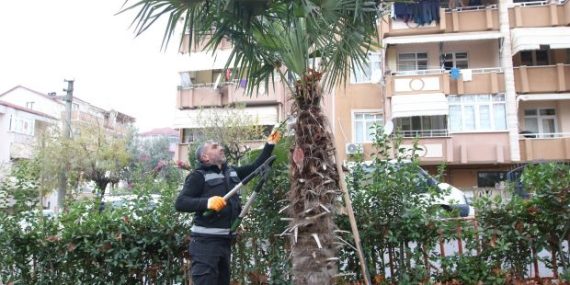 Gazi Mehmet Öztürk Parkı Yenileniyor
