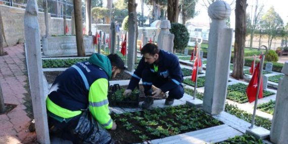 Şehit mezarları çiçeklerle donatıldı