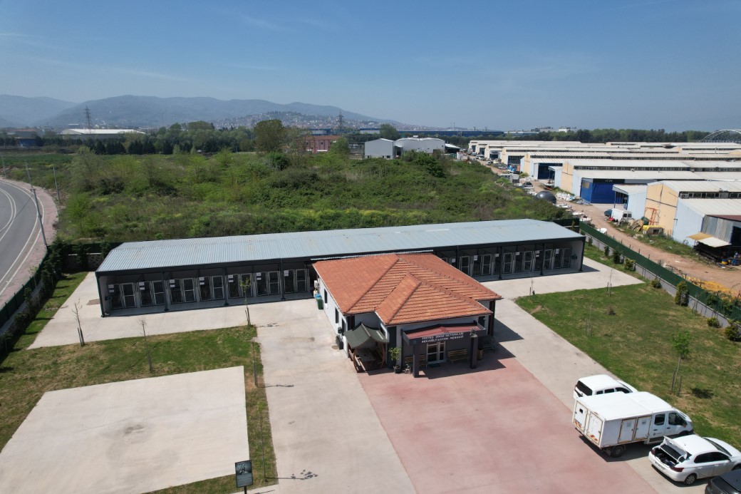 Kahraman köpek Proteo’nun adının yaşadığı merkez, sokak hayvanlarına şifa dağıtıyor