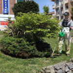 20250506aw448239-0.jpg