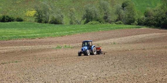 Kocaeli’de mısır tohumları toprakla buluşuyor