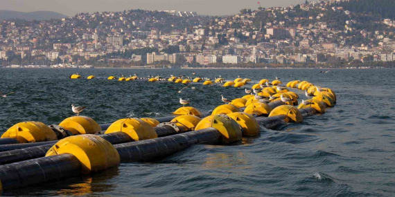 İzmit Körfezi’nde temizlik çalışmaları sonuç verdi: 2 saatte 100 kiloluk mırmır yakalandı