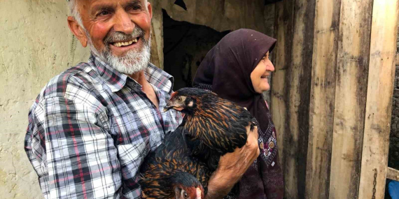 Üreticiye yüzde 50 hibeli yumurta tavuğu desteği
