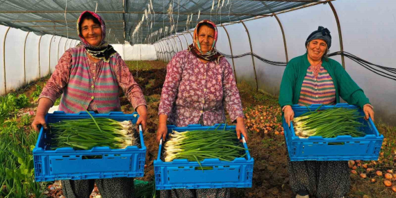 Çiftçilere yüzde 50 hibeli sera desteği