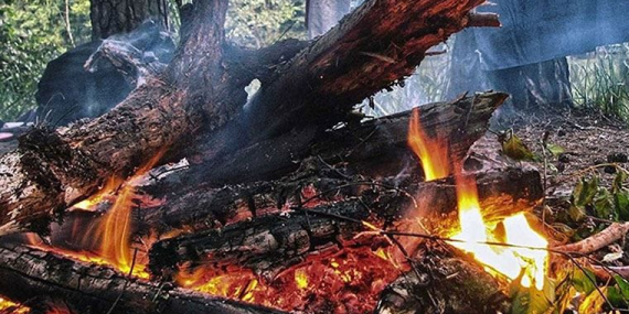 Sakın yapmayın: Kocaeli’de artık kesin yasak!