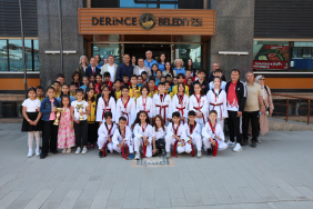 Derincespor kulübü (2)