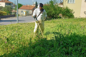 KÖRFEZ