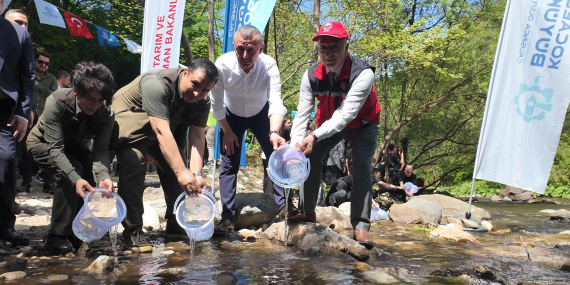 Kirazdere’ye 2 yılda 16 bin alabalık salındı