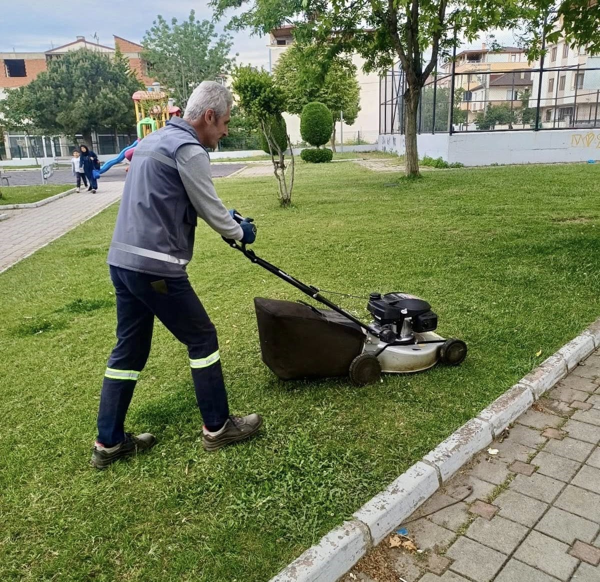 Körfez’de yabani otlarla mücadele sürüyor
