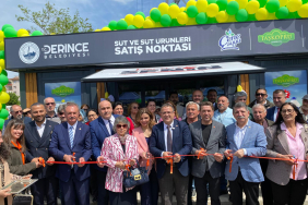 derince manşet (3)