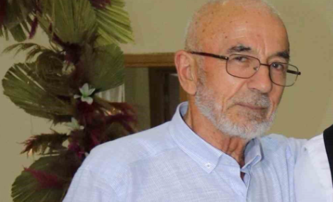 Körfez’de kahreden olay! Kiraz ağacı sonu oldu