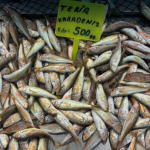 tezgahlar balık (1)