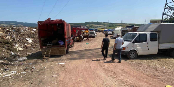 Çöplükte kurbanlık satışı
