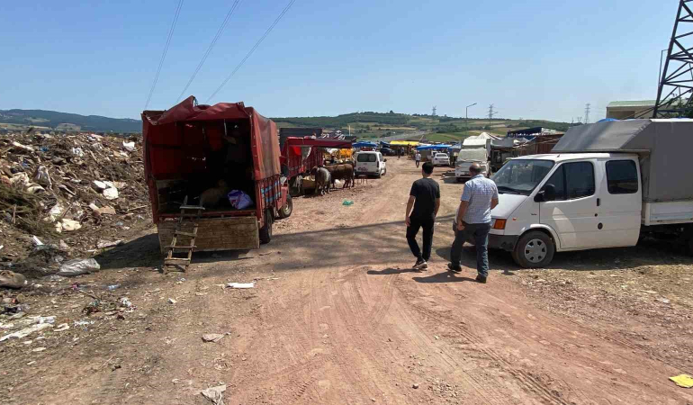Çöplükte kurbanlık satışı