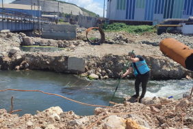 İzmit Körfezi'nde su kalitesi yakın takipte (1)