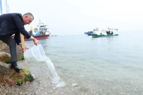 Ölümün kıyısından yeniden dirilişe (2)