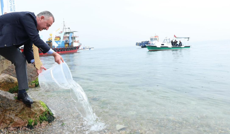 Ölümün kıyısından yeniden dirilişe