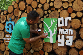 Ormanya'da yaz hazırlıkları tamam (5)