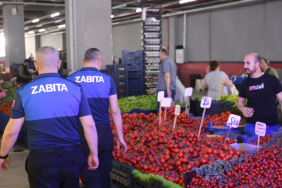 zabıta