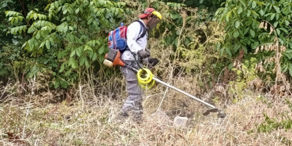 Körfez Belediyesi’nden boş arazilerde ot biçme çalışması