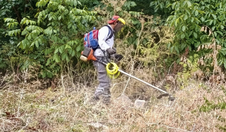 Körfez Belediyesi’nden boş arazilerde ot biçme çalışması