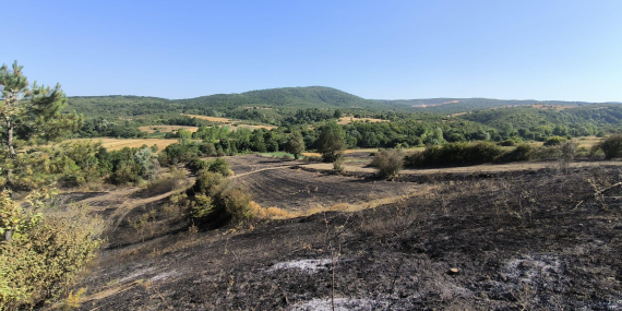 Yangında zarar gören çiftçilere gübre ve tohum desteği
