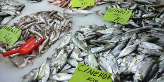Balık fiyatları yükseldi