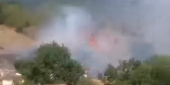 Son dakika! Derince’de orman yangını