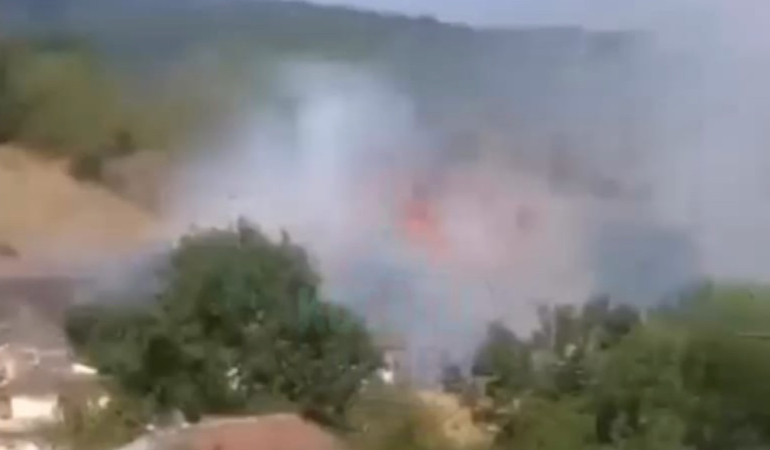 Son dakika! Derince’de orman yangını