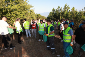 Orman nefestir nefes hayattır (2)