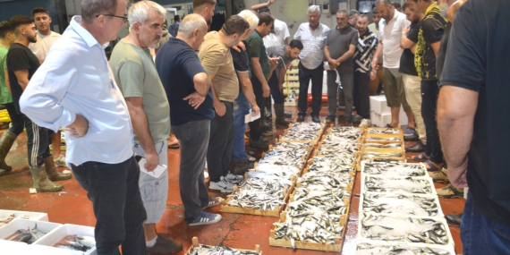 Kocaeli’de hayaller lüfer, tezgahta hamsi…