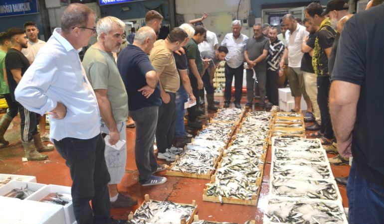 Kocaeli’de hayaller lüfer, tezgahta hamsi…