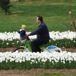 1761893689-259f90f46f