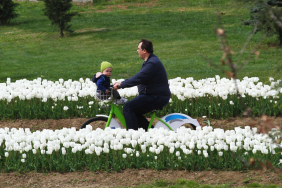 1761893689-259f90f46f