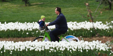 1761893689-259f90f46f