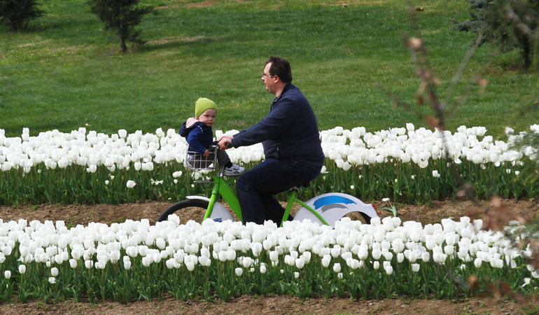 KOBİS ile 179 bin vatandaş yazın tadını çıkardı