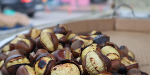 Kestane tezgahları cep yakıyor!