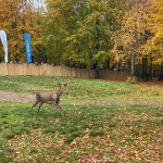 WhatsApp Görsel 2025-10-22 saat 13.00.14_b5157622