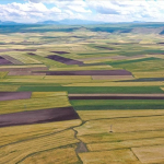 thumbs_b_c_fc4164320b74656f324e2f1f8be03be9