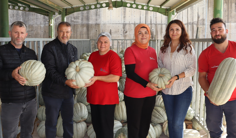 İzmit’te yerli üretim bal kabağı
