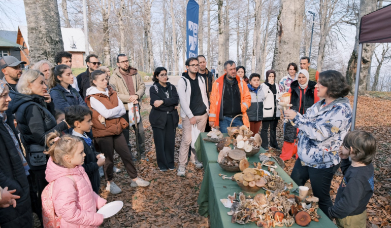 Kuzuyayla’da mantarların gizemli dünyası keşfedildi