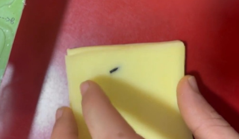 Kocaeli’de kaşar değil, kriz çıktı!