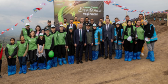 Karamürsel’de yanan bölge 3 bin fidanla yeniden yeşerecek