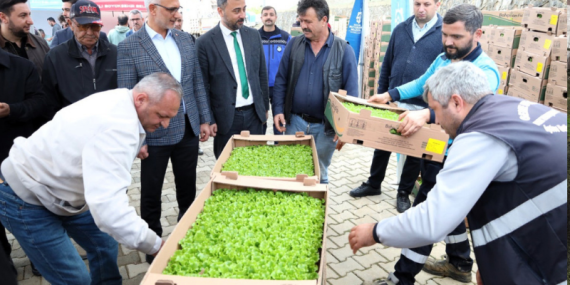 Gebzeli çiftçiye 500 bin sebze fidesi