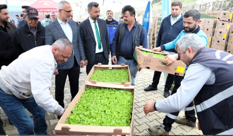 Gebzeli çiftçiye 500 bin sebze fidesi