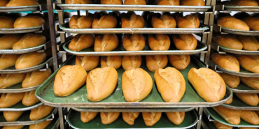 1766993879-7a663eb9a9