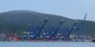 WhatsApp Image 2025-12-27 at 11.53.02