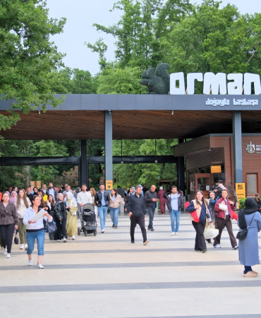 orman